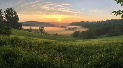 Wall Mural - Misty Sunrise Over Rolling Hills