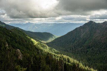 Wall Mural - View of Green Forests Over Mountains in the Lowlands of Mount Rainier