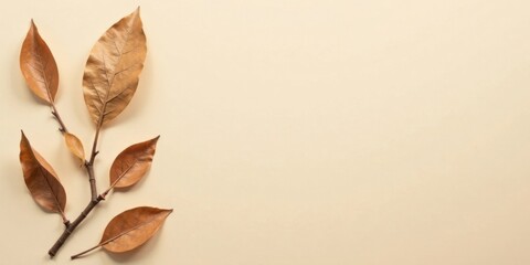 Poster - Dried autumn leaves on a beige background, minimalist nature scene with copy space for text or design elements