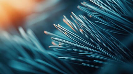 Wall Mural - Close-Up of Pine Needle Texture in Natural Light Background