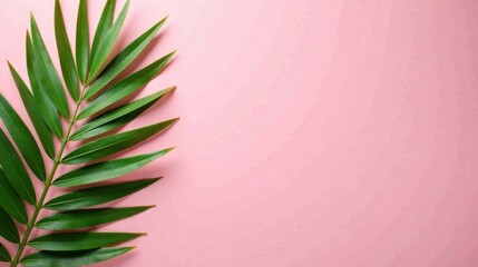 Poster - Lush Green Tropical Leaf on a Soft Pink Background Perfect for Summer Designs