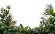 © Rawpixel.com - PNG Jungle border nature backgrounds vegetation.