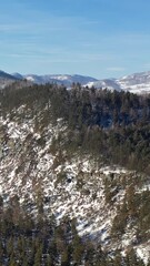 Wall Mural - Vertical Aerial video of Altai mountains with pine snowbound taiga forest in winter.