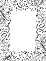 Wall Mural - All these designs are hand-drawn and unique 
Beautiful Flowers Border black and white illustration for adult coloring book,
This is a printable Beautiful Zentangle Coloring page for KDP Interior,