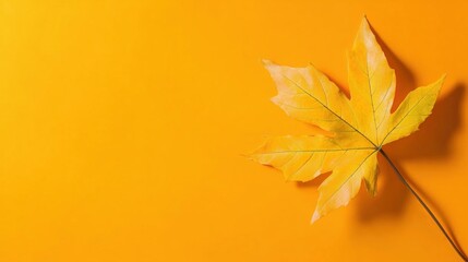Aufkleber - Bright yellow autumn leaves rest on a warm orange surface, showcasing intricate details and soft shadows creating a cozy fall atmosphere