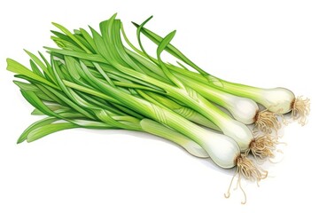 Canvas Print - Vegetable onion plant green.