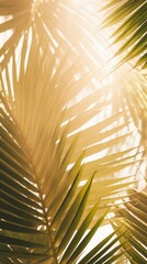 Poster - Palm leaves sunlight backgrounds outdoors.