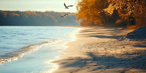 Poster - Autumn beach sunset, birds flying, calm water