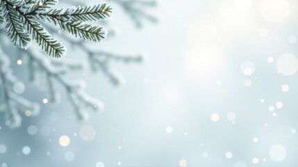 Poster - Winter Wonderland Scene Snow-Covered Evergreen Branch with Soft Bokeh Background