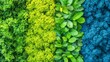 © Fragton - Vibrant Vertical Garden Wall Green, Blue, and Lush