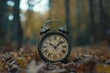 © PD - Old alarm clock sits among autumn leaves in a quiet forest during the afternoon light