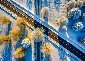 Wall Mural - Minimalist Winter Street Scene: Snow Covered Road and Bare Trees