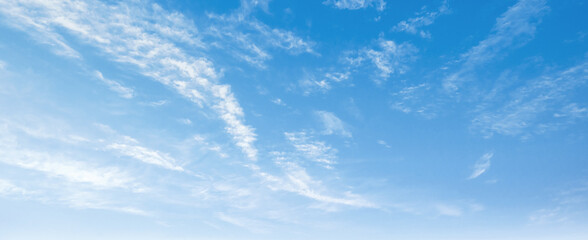 Wall Mural - clear blue sky with a few clouds