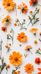 Poster - yellow and orange flowers on white background