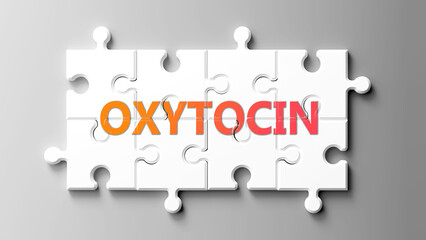 Poster - Oxytocin complex like a puzzle - pictured as word oxytocin on a puzzle pieces to show that oxytocin is complex and needs cooperating pieces that fit together. ,3d illustration