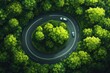 © multasam - Aerial view Cars on circular road through lush forest
