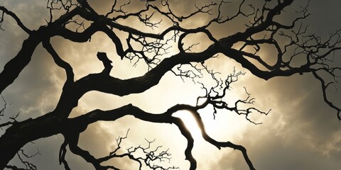 Aufkleber - Black dry tree branches silhouetted against a twilight sun background create a dramatic contrast. The black dry tree branches evoke a sense of mystery in the fading light of the evening.