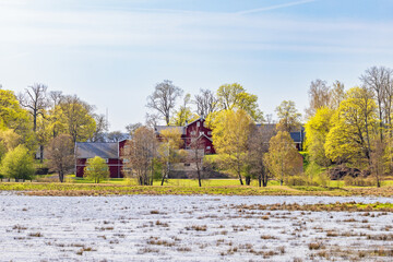 Canvas Print - Farm at a lakeshore with lush green trees a sunny spring day