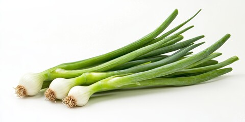 Poster - Isolated green shallot Allium cepa var. aggregatum on a white background, showcasing the fresh and vibrant green shallot, perfect for culinary uses or food photography.