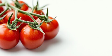 Aufkleber - Close up of red tomatoes on a branch, showcasing the vibrant red tomatoes against a clean white background, highlighting the freshness and natural beauty of red tomatoes.