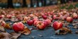 © meristock - Rotten apples scattered on the ground resemble discarded garbage, showcasing the sight of fallen rotten apples that emphasize waste and decay in nature.