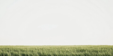 Wall Mural - Serene Spring Field Under Clear Sky - Embrace the Calmness of Nature