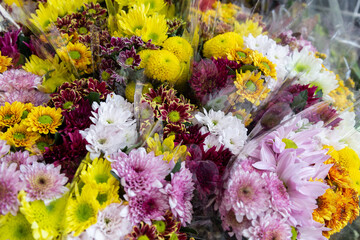 Colourful flower buquets arranged together