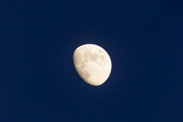 moon in the night