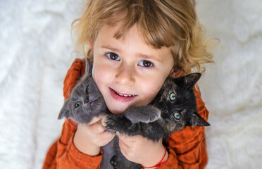 Poster - Child playing with kittens at home. Selective focus.