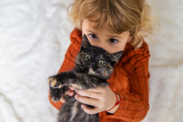 Poster - Child playing with kittens at home. Selective focus.