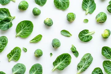 Wall Mural - Fresh green brussels sprouts and foliage on a white backdrop