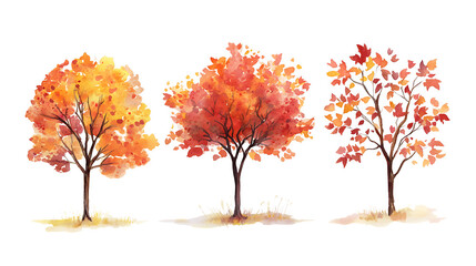 Poster - Set of tree and autumn leaves painted in watercolor on a white isolated background