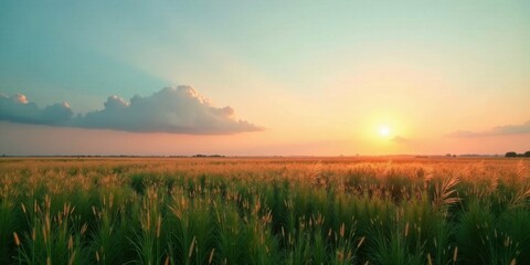 Aufkleber - Serene Sunset Over a Golden Meadow of Tall Grass