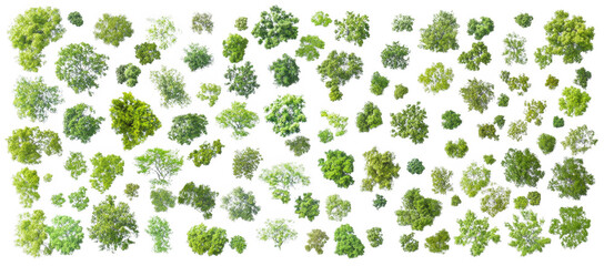 collection of green trees isolated on transparency background showcases various shapes and sizes, perfect for design projects or educational purposes
