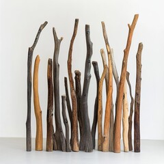 Poster - Wooden Sticks Installation: Nature's Abstract Sculpture