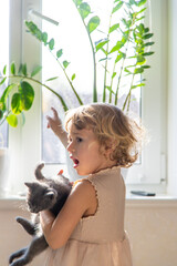 Poster - Child playing with kittens at home. Selective focus.