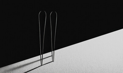 Poster - Minimalist Black and White Composition with Shadows and Needles