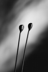 Poster - Minimalistic Black and White Abstract of Sculptural Forms with Soft Lighting