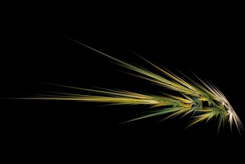 Poster - Computer generated fractal pattern and shape