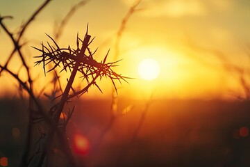 Wall Mural - Crown of thorns of Jesus Christ against silhouette of catholic cross at sunset background 