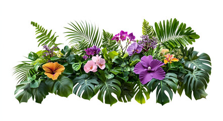 Wall Mural - Isolated Tropical Plants with Ivy, Monstera, Fern, Exotic Shrubs, and Colorful Hibiscus Flowers, Cut-Out on White Background
