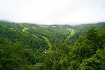 Poster - Scenery of Shiga Highlands in Summer