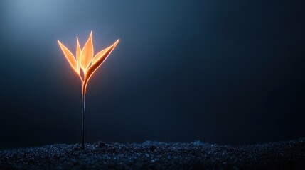 Poster - A simple composition of a single bird of paradise flower with its unique shape outlined in a thin, bright orange neon light against a dark grey background.