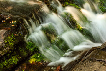 Wall Mural - A stream of water is flowing down a rocky hillside