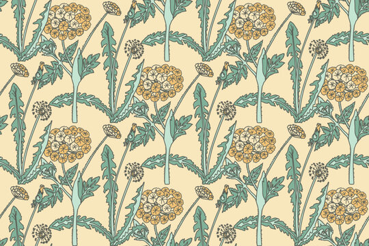 Botanical abstract seamless pattern with chrysanthemum vector illustration. Repeating line art floral print in vintage pastel colors. Graphic design for Wallpaper Wedding Cover Wrapping pack Textile