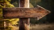 © Roger - weathered wooden arrow sign with rustic charm