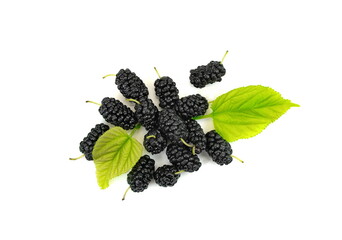 Wall Mural - Close-up Mulberries fruit with leaves isolated on white background.