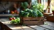 © Barek - Rustic Wooden Crate of Fresh Emerald Green Broccoli on Reclaimed Wood Table in Cozy Kitchen Setting