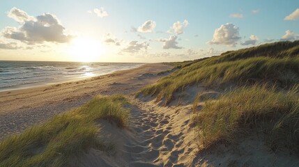 Wall Mural - serene coastal landscape at sunset with gentle waves and soft sand dunes surrounded by lush grass un