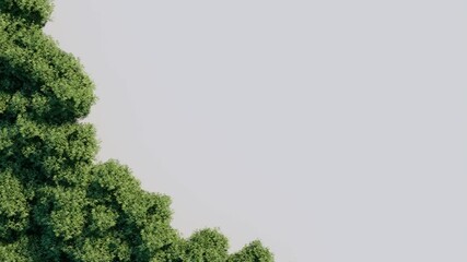 Wall Mural - tree top view plant landscape architecture nature garden aerial render. trees branch isolate collect